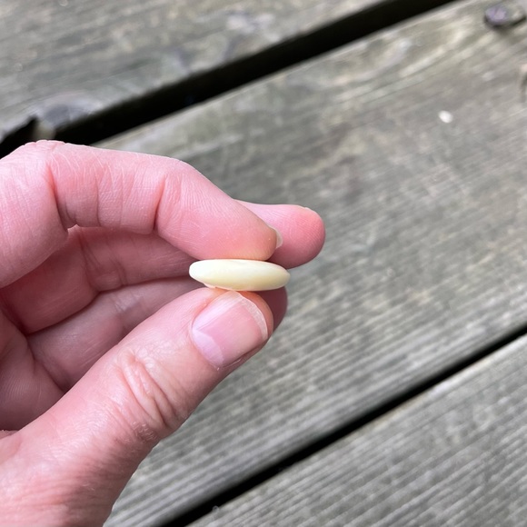 Carved Bone Spiral Pendant - Picture 8 of 11